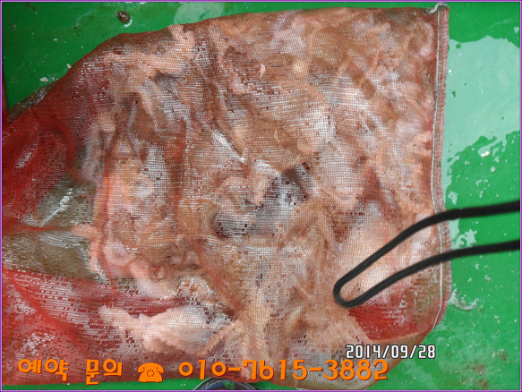 2529083E5428090921EB6D