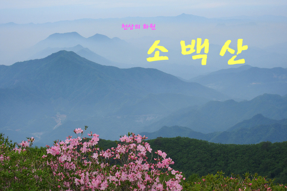 [100명산-17차]천상의 화원-소백산 - 등산 갤러리