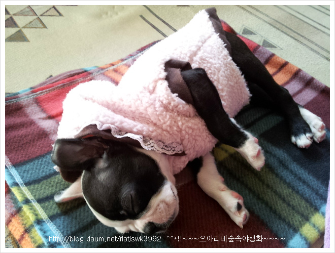 우리인사 이미지