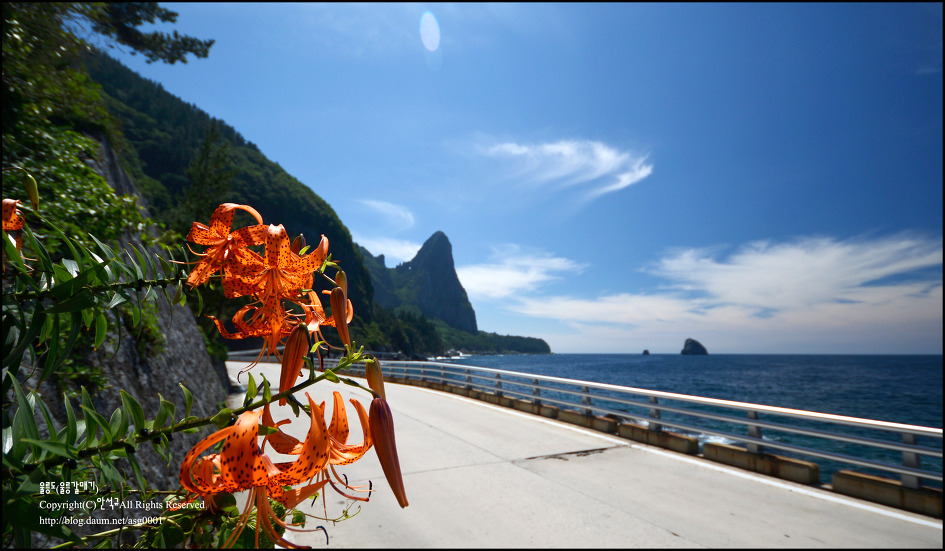 [울릉도]참나리꽃이 있는 울릉도 풍경