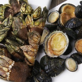 거북손과 배말찜이 생각나는 겨울밤