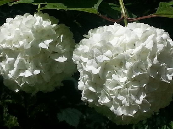 약할 그때에