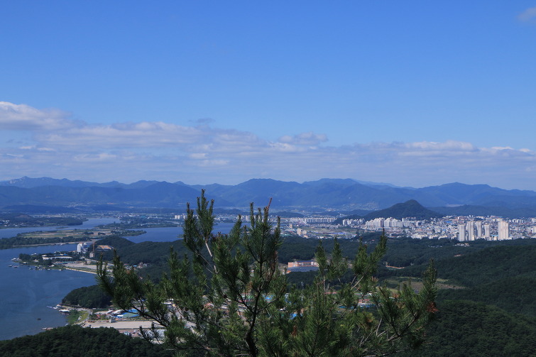 이미지