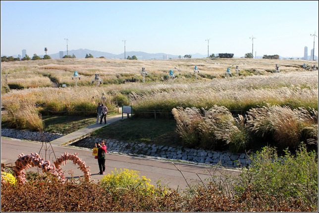 2677AC4D5449DFB00CFF50