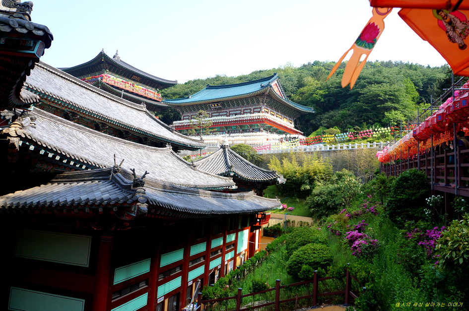 부산 삼광사 연등