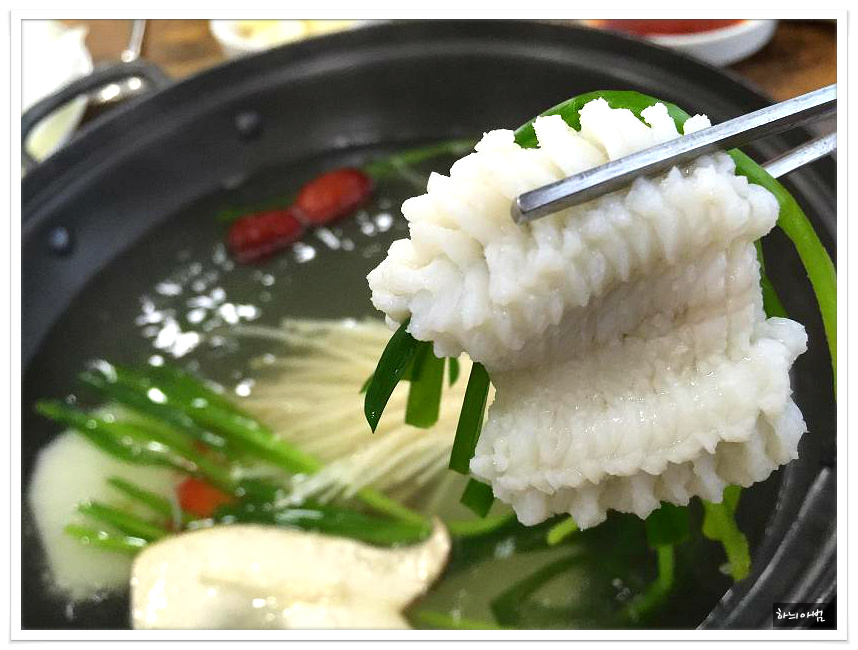 하모 이미지