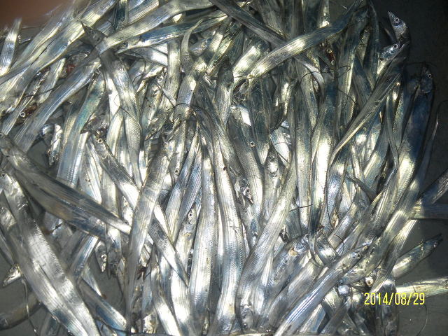 273ADA4653FFA3D0125BB0