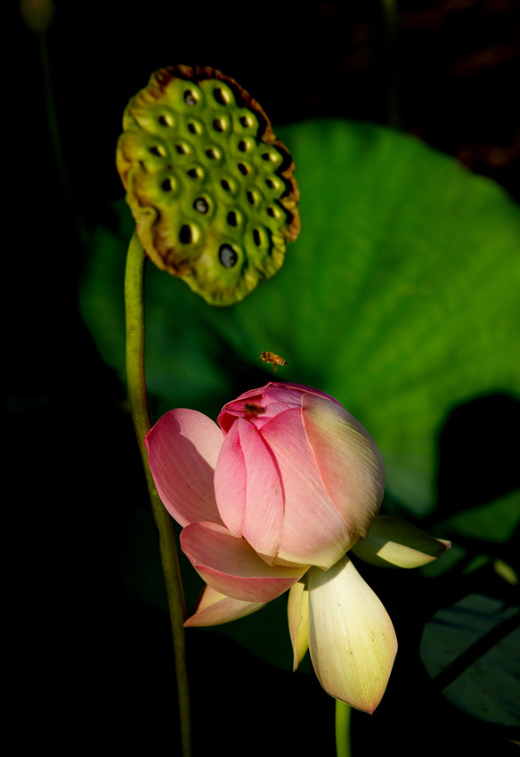 몰래한 사랑이여라