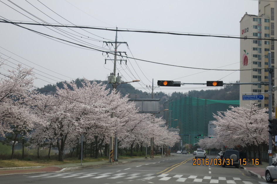 경상대학병원 이미지