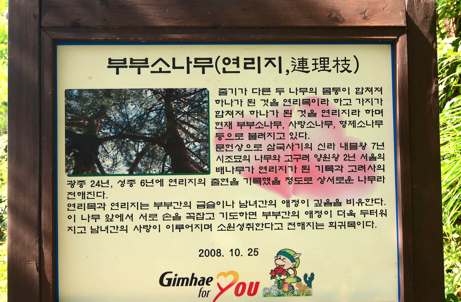 연리지