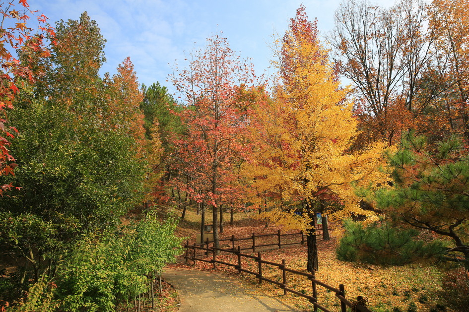 가을에 꼭 가보고 싶은곳 경상남도수목원 / 진주수목원 경남수목원