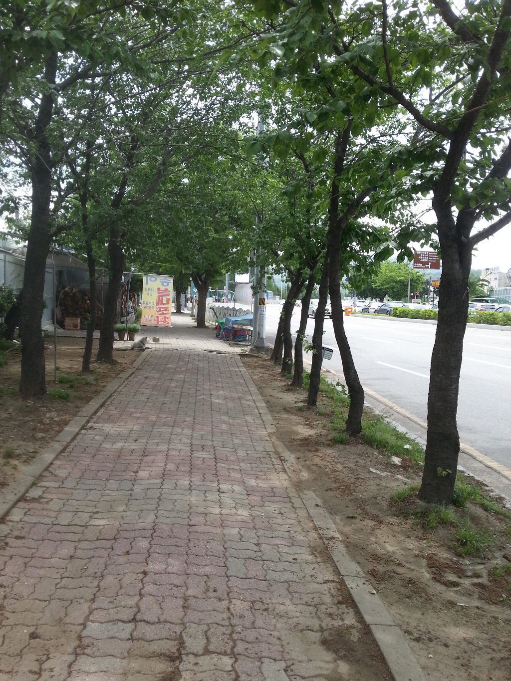 도곡동~양재천~과천대공윈산림욕장을 산책(2013년5월17일)