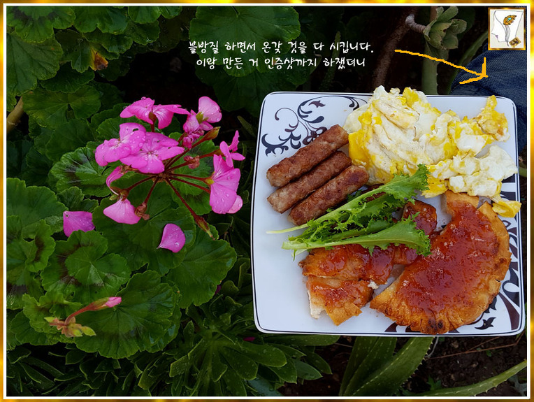메리 버스데이
