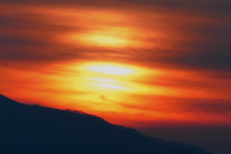 99088E365DF4F580239075