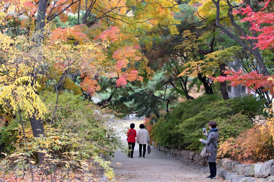 덕수궁의 가을색