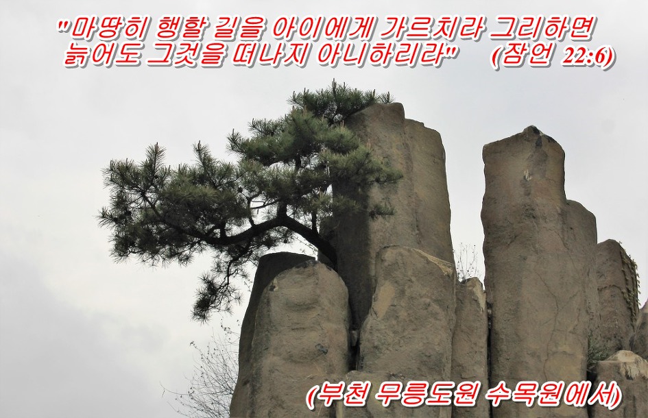 '잠언 22장 6절 말씀' 