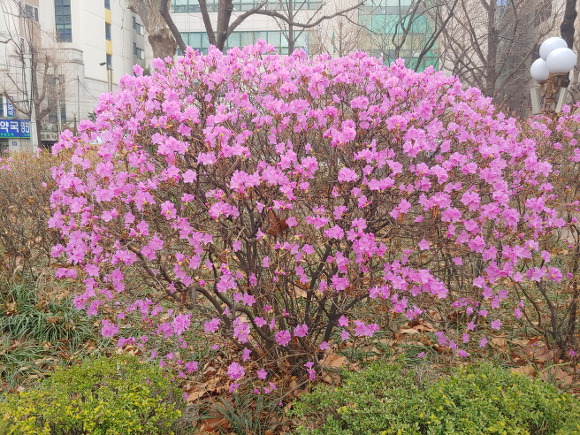 움츠러들고 치닫는 삶에 대하여