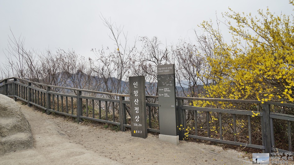 서대문,안산 & 인왕산...개나리,진달래가 흐드러지게 피어있고~