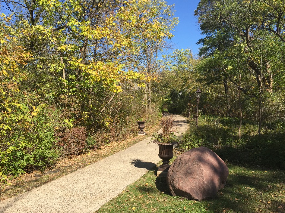 [The Grove Redfield Estate] 억새가 있는 동네 공원에서 가을을 느껴 본다.(Glenview/IL)
