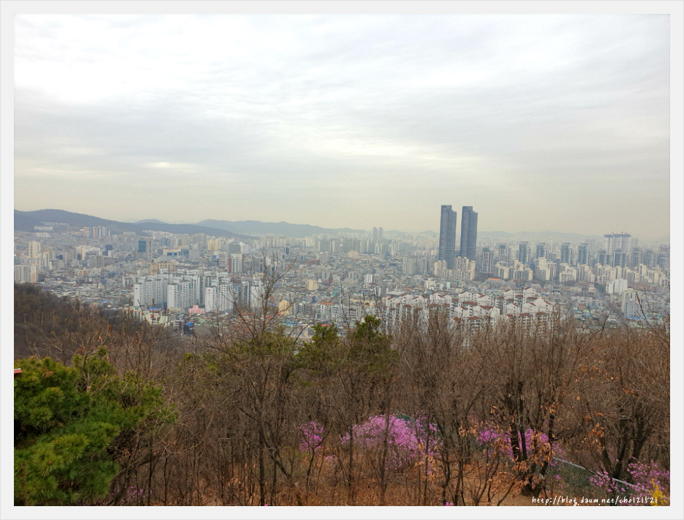부천 원미산 진달래축제를 가다 ^^