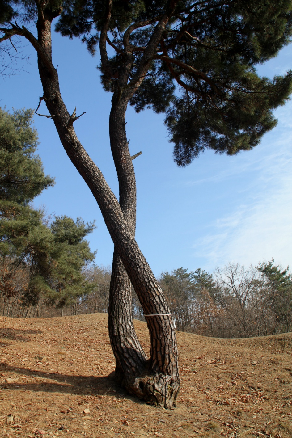 암행어사 박문수 테마길이 있는 천안 은석산 송년산행 / 20171216(토)