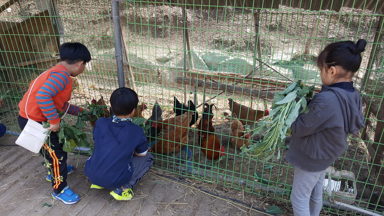 더블클릭을 하시면 이미지를 수정할 수 있습니다