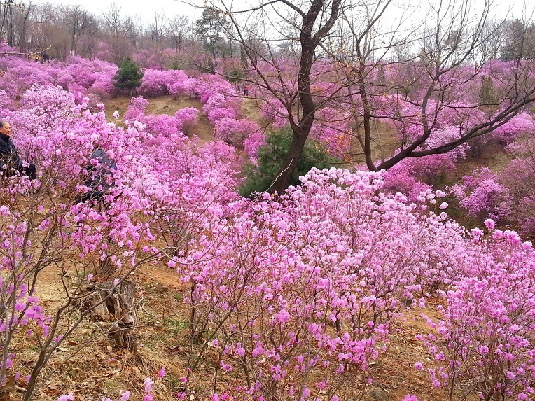 내 마음을 읽어주는 사람 -용혜원   