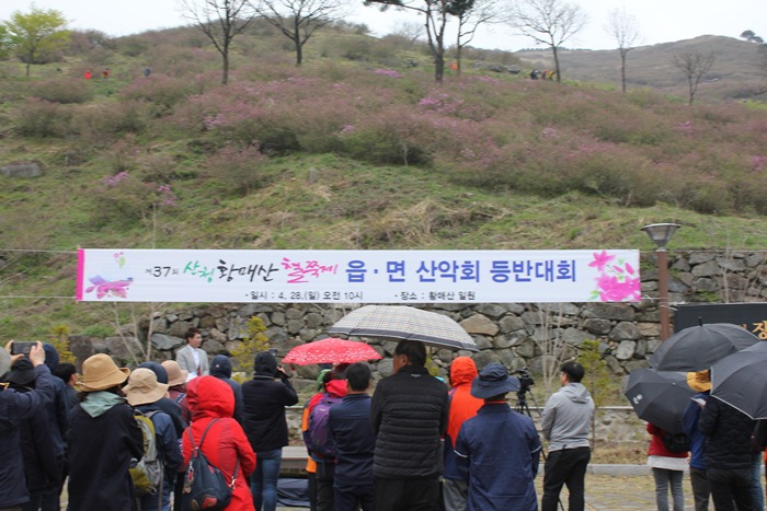 원본이미지(클릭)