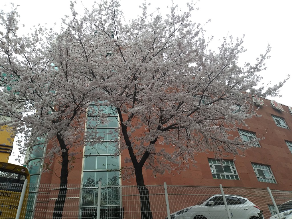 19.4.9(화)