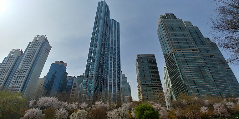 [서울] 양재천 벚꽃축제~ & 양재천 산책로 !!!