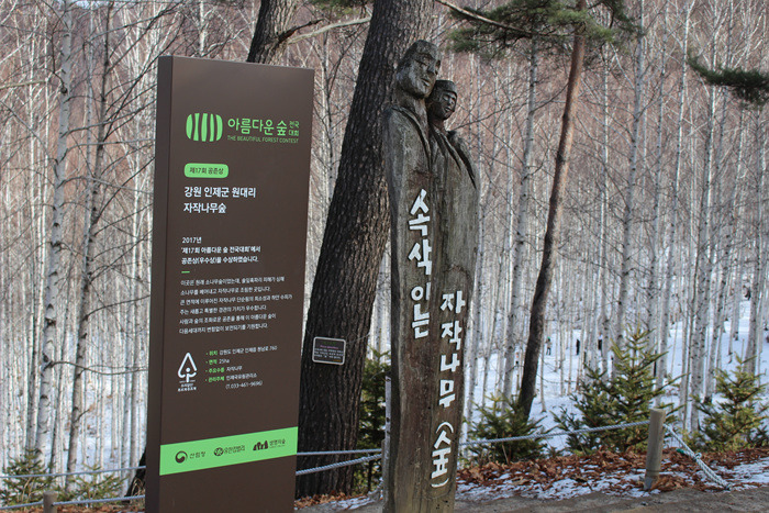 원본이미지(클릭)