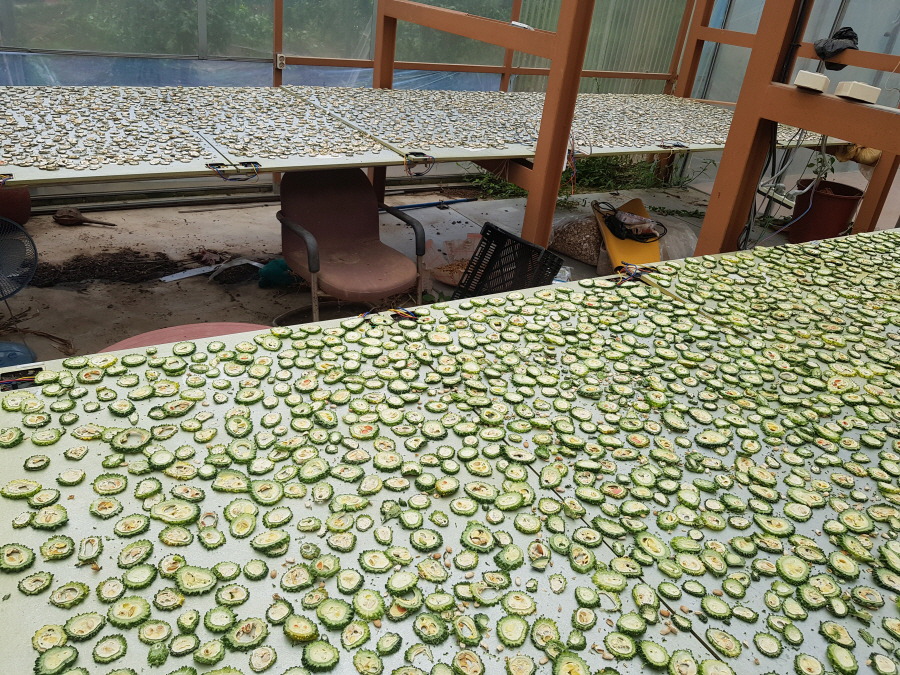 여주판매 합니다