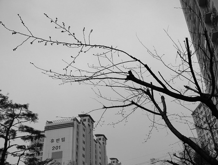 다시 겨울이
