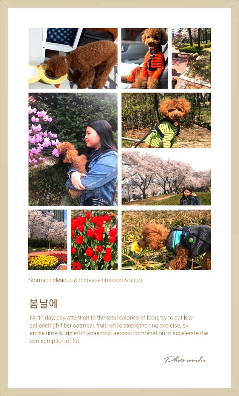 April Fool's Day 만우절 날 벗꽃천국 앞산공원 시인의 길을 걷다~~**