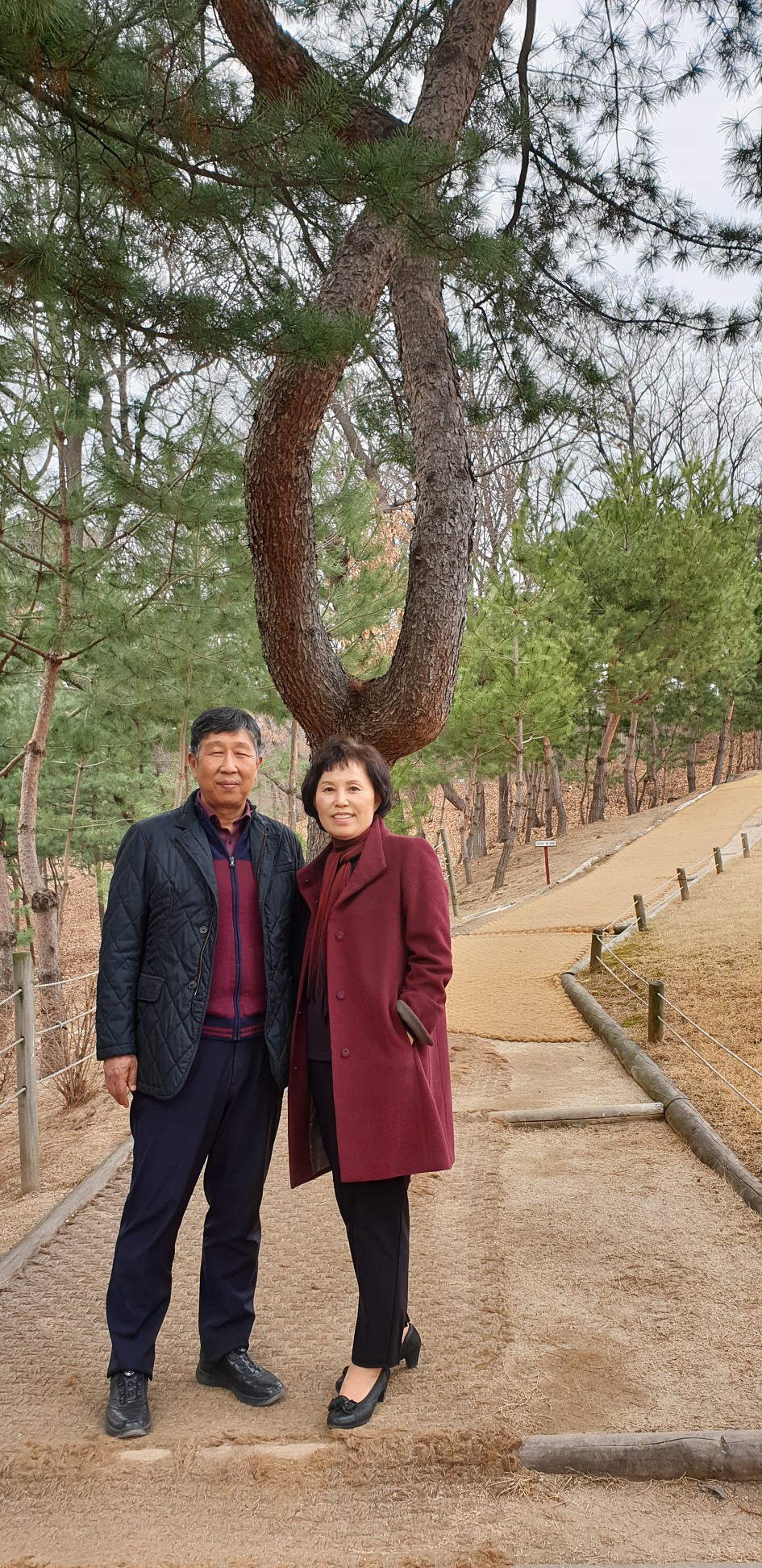 방학동 은행나무집 참 봉평모밀﻿