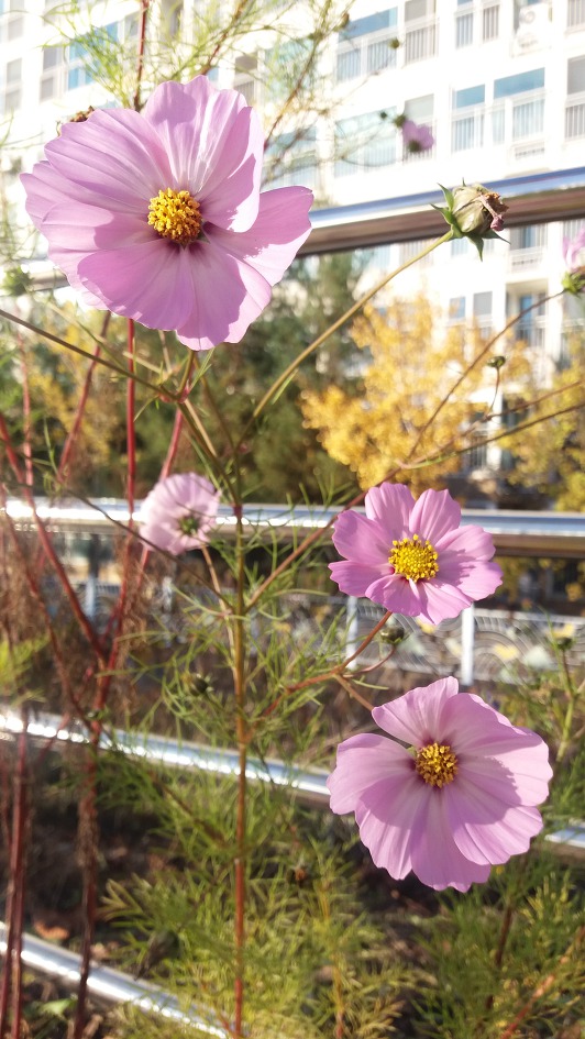 가을 풍경