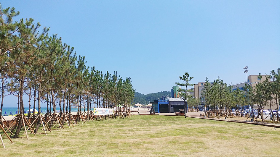 여기는 어디? 이국적인 풍경에 빠지다.삼척해수욕장