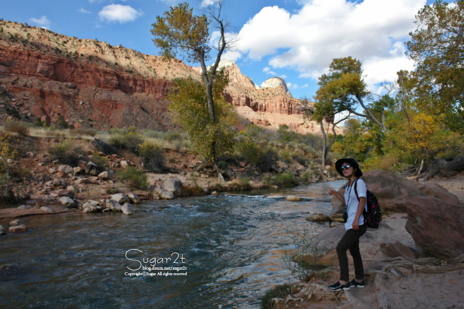 [그랜드 서클]자이언 캐년(Zion Canyon)