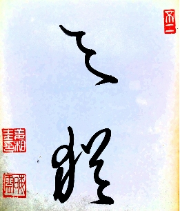 블로그 이미지
