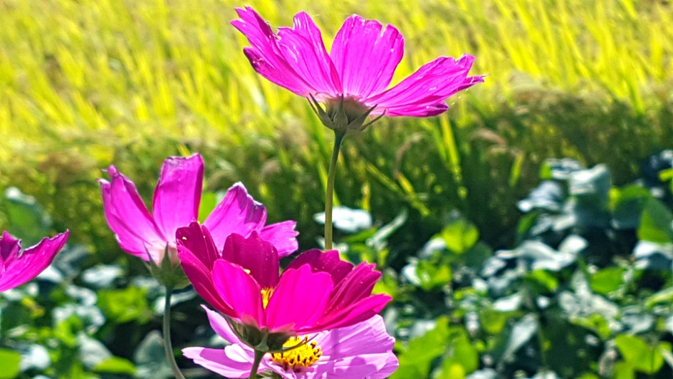 제일은 사랑, 믿음, 소망, 사랑.