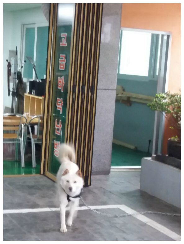 5월을 모두 다 행복하게 파이팅 해요~