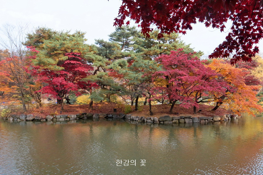 창경궁의 가을색