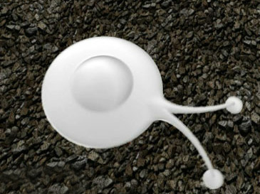 맹조국사건: 그는 외계인과 성관계를 가졌을까?