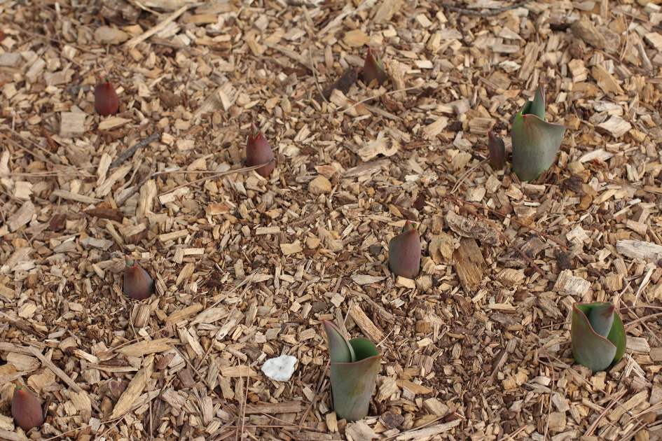 -발길이멈추는곳에서-