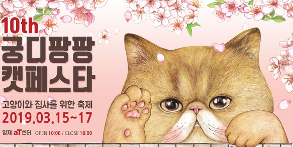 <묻다> & 궁팡 북토크 
