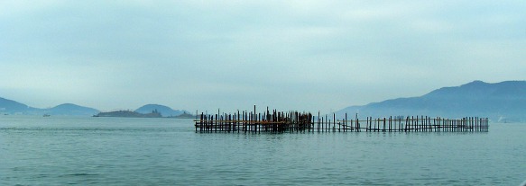 99BA65485D14B368325D87