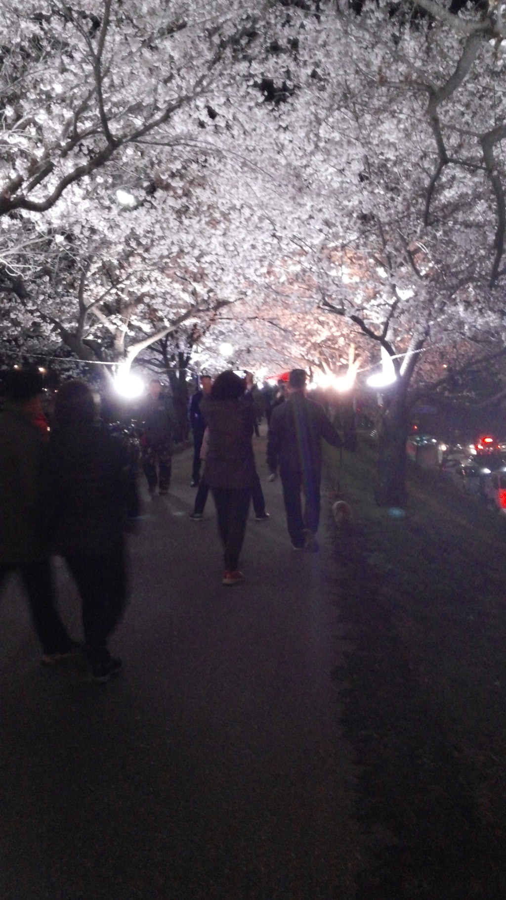 서천야경/문경아제