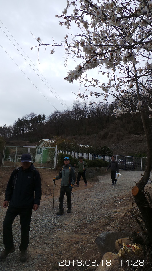 용원회센타 이미지