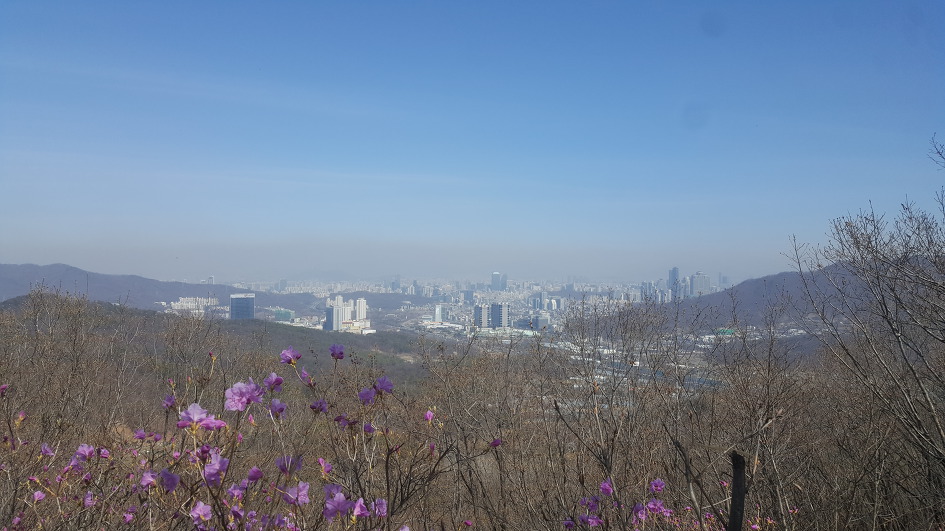 [청계산-옥녀봉 산행일지/2019.04.07]