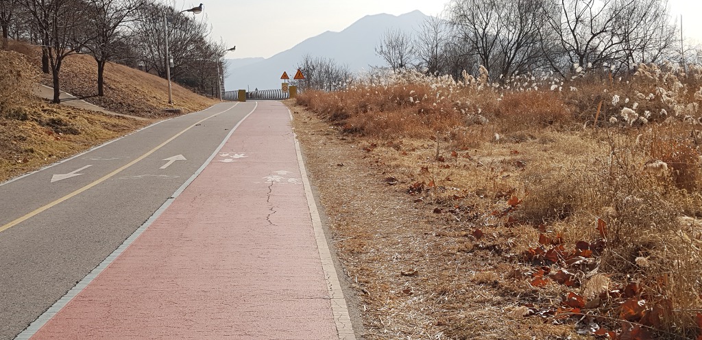 참 오랜만에 산책했다